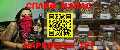 индика Апшеронск