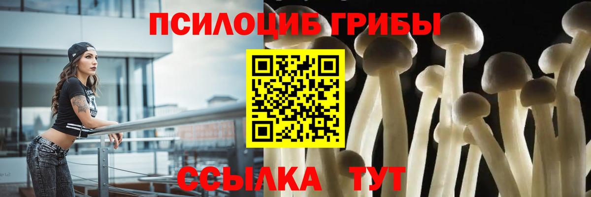 Кушва  Галлюциногенные грибы Psilocybe  Вход с VPN 